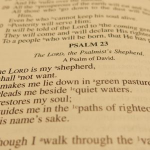 Psalm settings